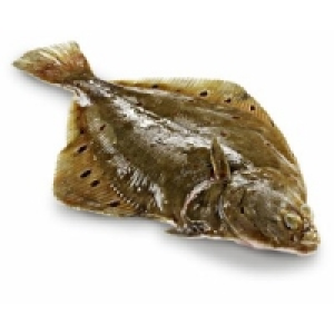 MSC Scholle 6.49 €
