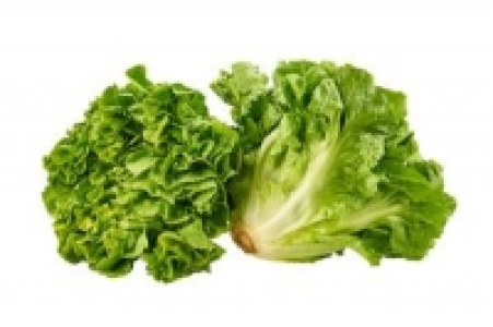 Salat 1.49 €