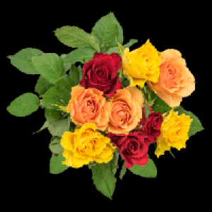 Schnittblumen 1.99 €