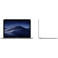 Euronics Apple MacBook 12 Zoll (MNYG2D/A) spacegrau