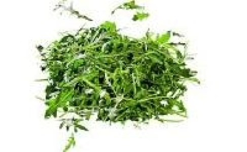 Rucola Salat 0.69&nbsp;&euro;