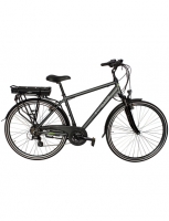 Hagebau  E-Bike Trekking »Green 4.5«, 28 Zoll, 21 Gang, Heckmotor, 360 Wh