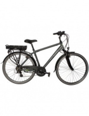 E-Bike Trekking »Green 4.5«, 28 Zoll, 21 Gang, Heckmotor, 360 Wh