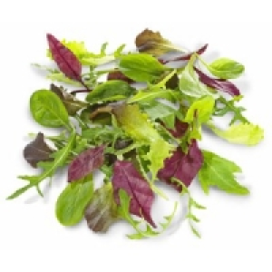 Wildkr&auml;utersalat 3.99&nbsp;&euro;