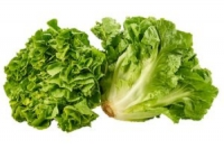 Salat 0.99 €