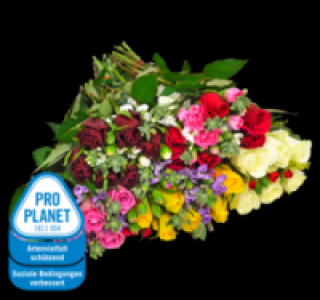 Penny  Fairtrade Posy Mix