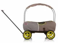 Lidl  hauck TOYS FOR KIDS Bollerwagen Eco Mobil