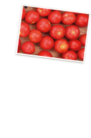 Ebl Naturkost Fränkische Runde Tomaten