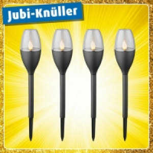 Roller  4er-Set Solar LED-Erdspieß - dunkelgrau