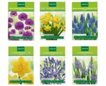 GARDENLINE® Herbst-Blumenzwiebeln 1.49 €