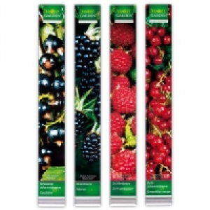 Beerensträucher 2.99 €