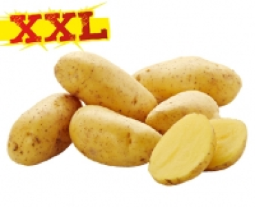 Speisekartoffeln vorwiegend festkochend 1.69 €