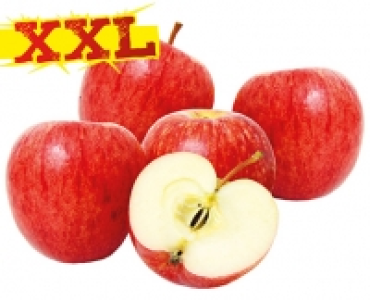 &Auml;pfel rot 2.49&nbsp;&euro;