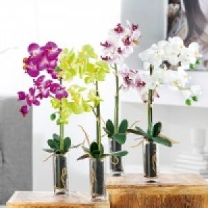 Deko-Orchidee 7.99 €