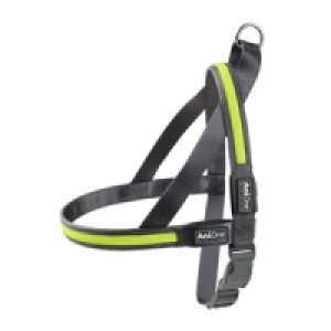 AniOne LED-Leuchtgeschirr 19.99 €