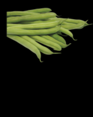 Buschbohnen 4.97 €