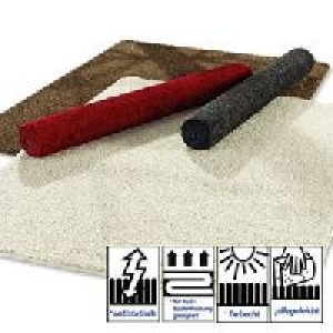 Hochflor-Teppich 29.95&nbsp;&euro;