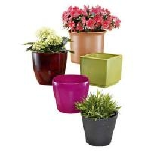 &Uuml;bertopf 0.79&nbsp;&euro;