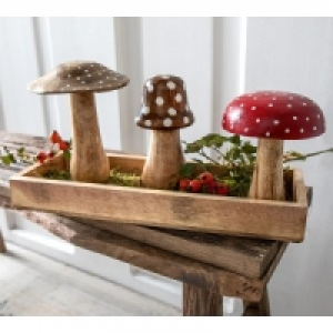 Mangoholz-Deko 3.99 €