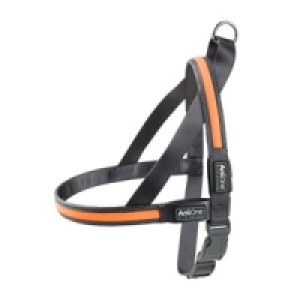 AniOne LED-Leuchtgeschirr 26.09 €