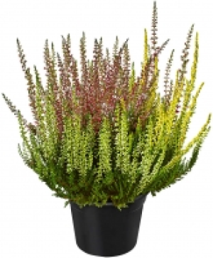 Sommerheide 2.49&nbsp;&euro;