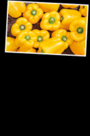 Gelbe Paprika 3.97 €