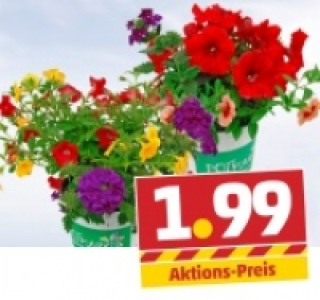 Potpourri 1.99&nbsp;&euro;