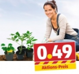 Verschiedene Gem&uuml;sepflanzen 0.49&nbsp;&euro;