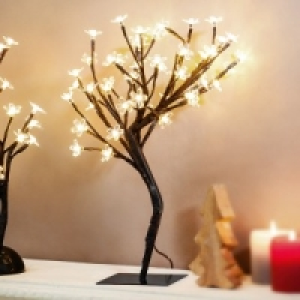 LED-Bäumchen 12.99 €