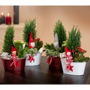 Weihnachtliches Arrangement 7.99 €