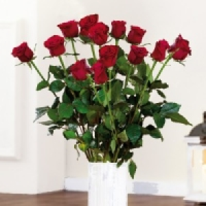 Premium Rosen 3.99 €