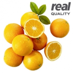 Spanien Orangen Kennzeichnung siehe Etikett, jedes 1,5-kg-Netz 1,000.00&nbsp;&euro;