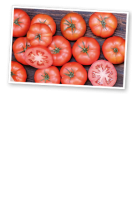 Ebl Naturkost Spanische Tomate Rebelion