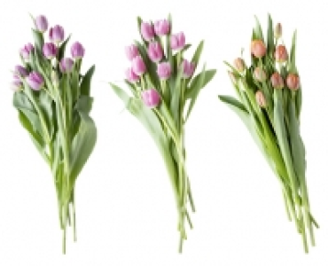 Schnittblumen 1.79 €