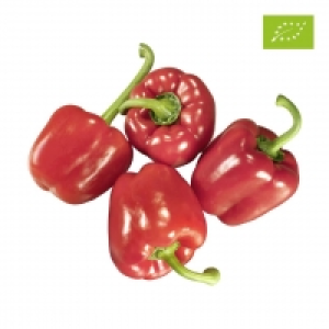 real Bio Spanien/Israel Paprika rot, Kennzeichnung siehe Etikett, jede