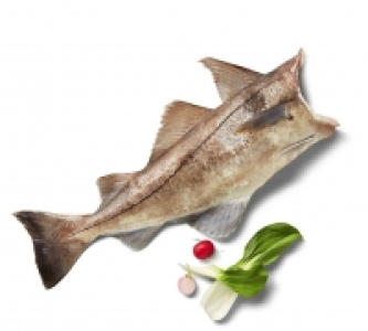 Schellfisch 1.29&nbsp;&euro;