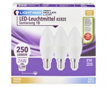 LIGHTWAY® LED-Leuchtmittel, 2er- oder 3er-Set 4.49 €