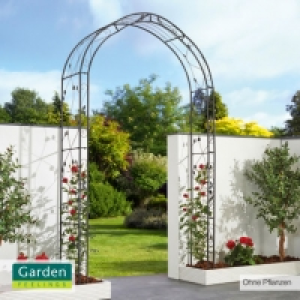 Rosenbogen 29.99 €