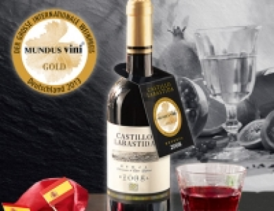 Castillo Labastida 2008 Rioja Reserva DOCa