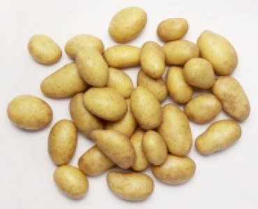 Aldi Süd  Bio-Speisekartoffeln festkochend