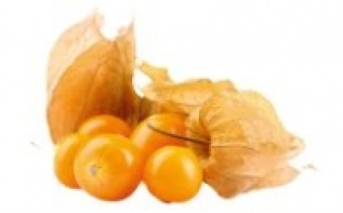 Physalis 0.99&nbsp;&euro;