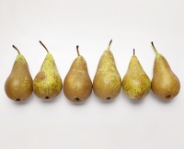 Birnen Conference 1.19&nbsp;&euro;