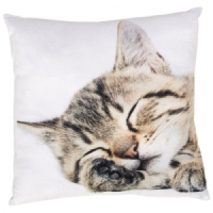 Dänisches Bettenlager  Zierkissen Pucki (30x30, Kitti)