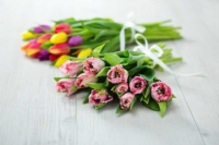 Tulpenstrauß 4.99 €