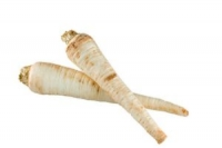 Wurzelpetersilie 3.99 €