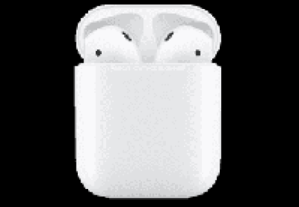 APPLE AirPods 2. Gen mit Ladecase 169.00 €
