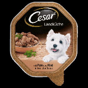 Cesar Hundenahrung
