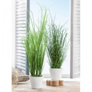 XL-Deko-Grasbusch 4.99 €