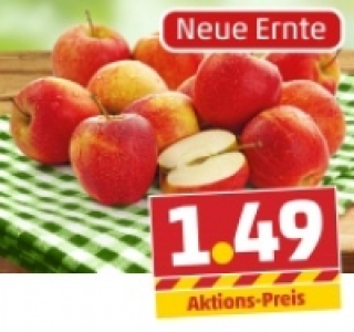 Apfel rot Royal Gala