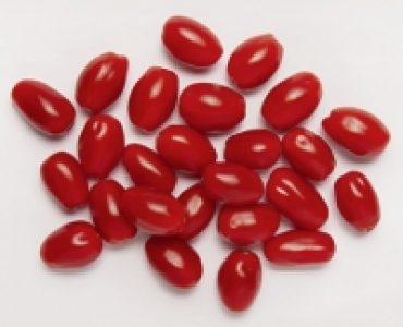 NATUR Lieblinge Datteltomaten 1.69 €